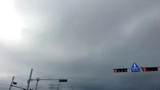 꽃다발을 받으며 ㅎ