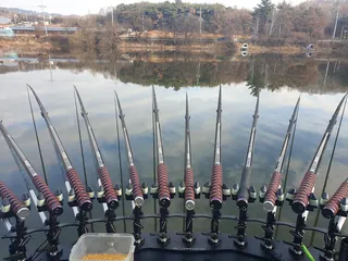 영천 도유지에서.