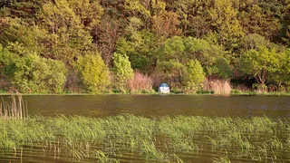 부들이 돋는 포인트에 오름 수위까지~