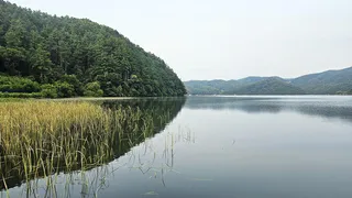 홍천강 오름수위 붕어낚시