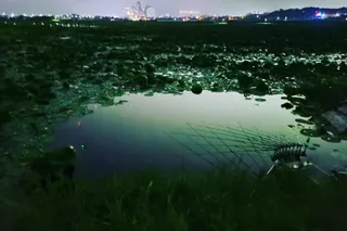 까멜리아의 열두 번째 조행기입니다.