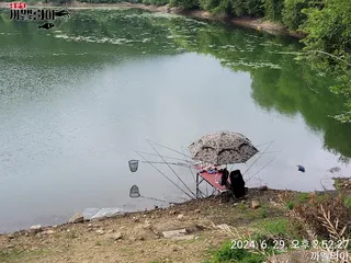 까멜리아의 마흔 다섯번째 조행기입니다.