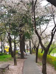 시작이  좋아 야 .