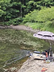 오랫만에 토종터에서