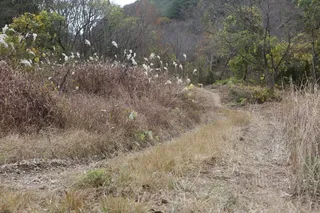로즈피싱클럽 납회식 ( 경남 최고의 밴드 )