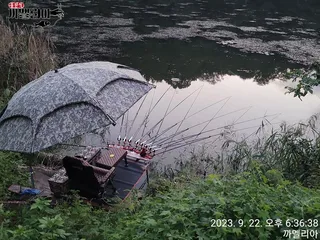 까멜리아의 스물한 번째 조행기입니다.