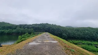 토종터 붕어 힘좋다