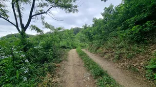 힐링이 되어 버린 낚시 