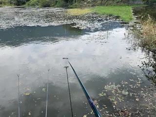  어신(魚神) 조우회의 10월 정출(2번의 기회)