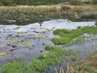 강행군 끝에 만난 4짜붕어