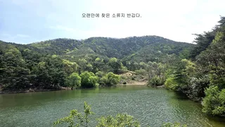 2025년 어신(魚神) 조우회의 4월달 정기 출조(배신)