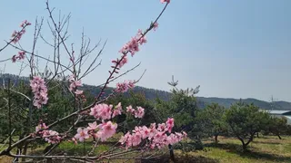 긴  휴식을 끝내고 