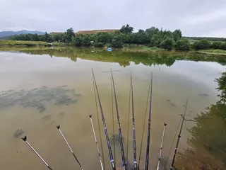 괴산 소류지에서 붕어낚시의 매력