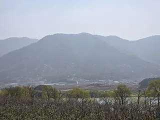 일주일만에 살이 쏘~옥 빠진 붕어들