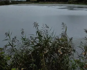 2025년 어신(魚神) 조우회의 10월 정기 출조(장마)