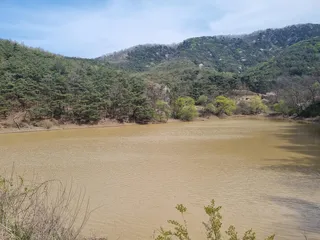 믹스 커피의 유혹  (취산도령)