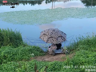 까멜리아의 마흔 일곱번째 조행기입니다.