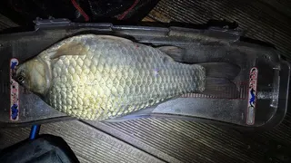 충주댐 오름 수위 소동 끝에는