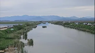 역시 붕어는 갈대밭 - 간월호