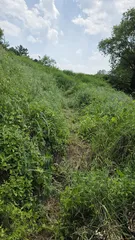 허접조사 고마해 붕어낚시 의령권