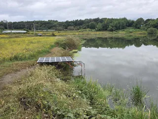 에어텐트와 함께한 2박3일. 그리고 멋진 대물붕어들