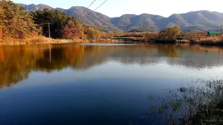 노지 조행기 시즌29화 한번더~^^