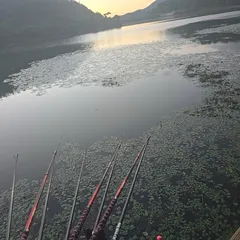 여름휴가 알차게 보내기...