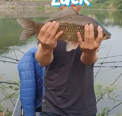 까멜리아의 열한 번째 조행기입니다.