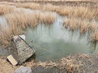 시조회 다녀왔습니다