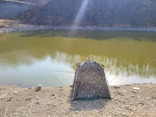 까멜리아의 세 번째 조행기 입니다.