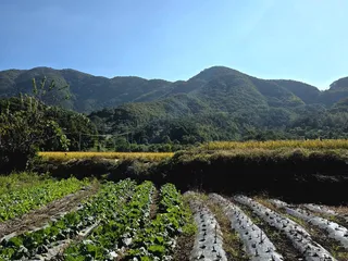 2025년 어신(魚神) 조우회의 11월 정기 출조(우승)