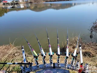 까멜리아의 서른한 번째 조행기입니다.