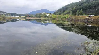 2024년 어신(魚神) 조우회의 11월 정출 (납회)