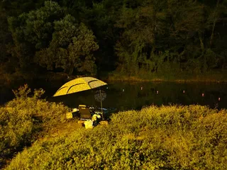 까멜리아의 스물 네번째 조행기입니다.