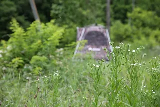 DIF와 새론불산업이 함께하는 포그피싱 번출