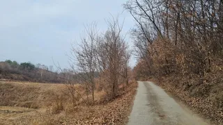 붕어를 만나고 왔다.