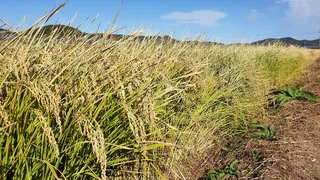 보습팀 정출(춤추는~찌불^^)