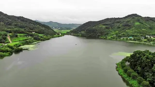 만수위만 기다렸다. 수몰나무 군락 붕어낚시