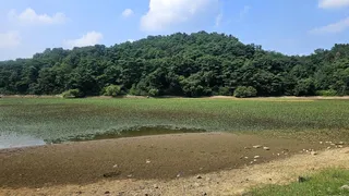  2024년 어신(魚神) 조우회의 08월 정출 (더위사냥)