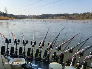 서산 지곡지 출조다녀왔습니다^^