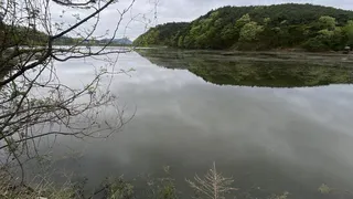 꿈⭐️은 이루어진다 (5짜 조행기)