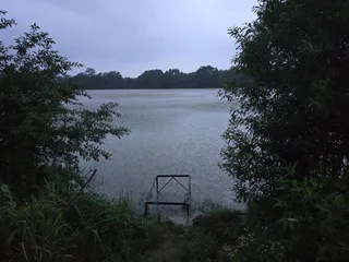 5치,6치,8치, 월척. 그리고 4짜 붕어