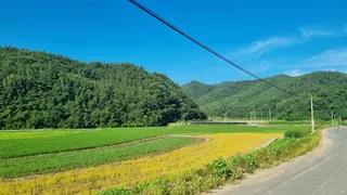 폭염 속 낚시란...