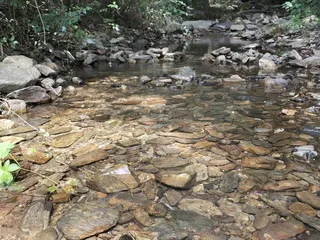 하룻밤 힐링낚시. 그리고 멋진 4짜 대물붕어