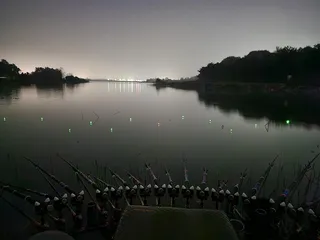 9마리의 빛나는 월척들