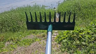 대호 운산리 4짜 이야기