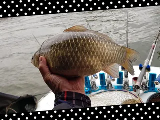 오랜만에 출조~