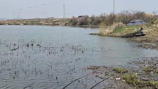 드디어 산란 포인트로 올라타기 시작