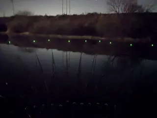 풍비의 물가 나들이...