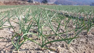 피싱패밀리 (돌아온~스테고 ^^)